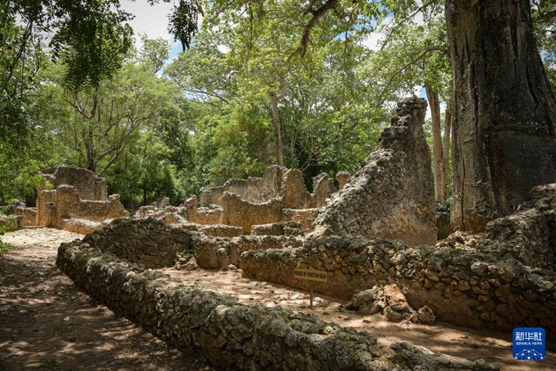 Magofu ya Mji wa Kale wa Gedi nchini Kenya Yaorodheshwa kwenye Orodha ya Mali ya Urithi wa Dunia ya UNESCO